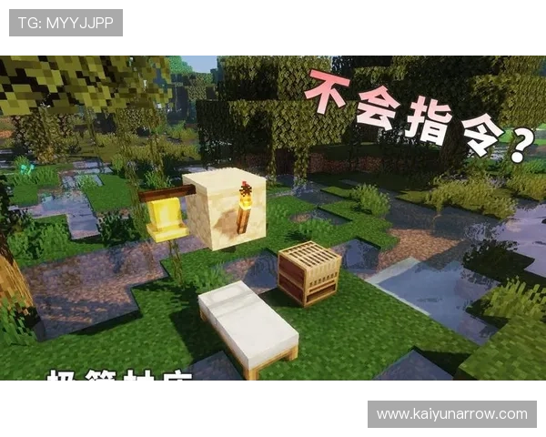 R星真人验证常见问题及解决方案指导玩家避免验证过程中遇到的困扰