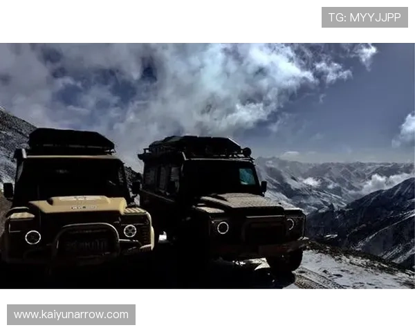 开云最新网址注册指南，新用户快速注册体验优质服务的详细步骤