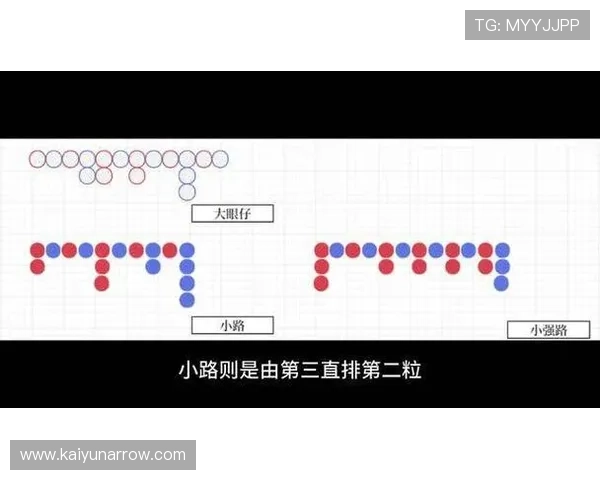 深入理解百家乐下三路记录规则，帮助玩家科学分析牌局走向与提高胜率